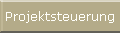 Projektsteuerung