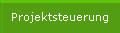 Projektsteuerung