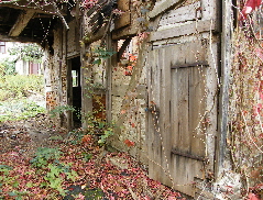 2009_1007x0056