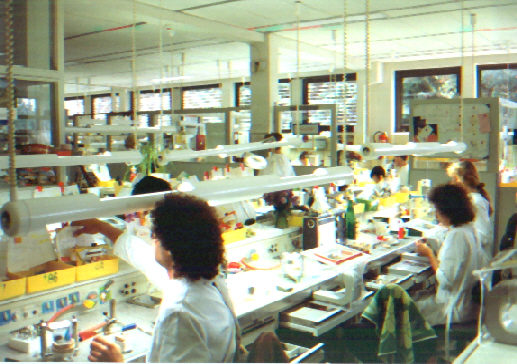 Laborbeeich Dentallabor